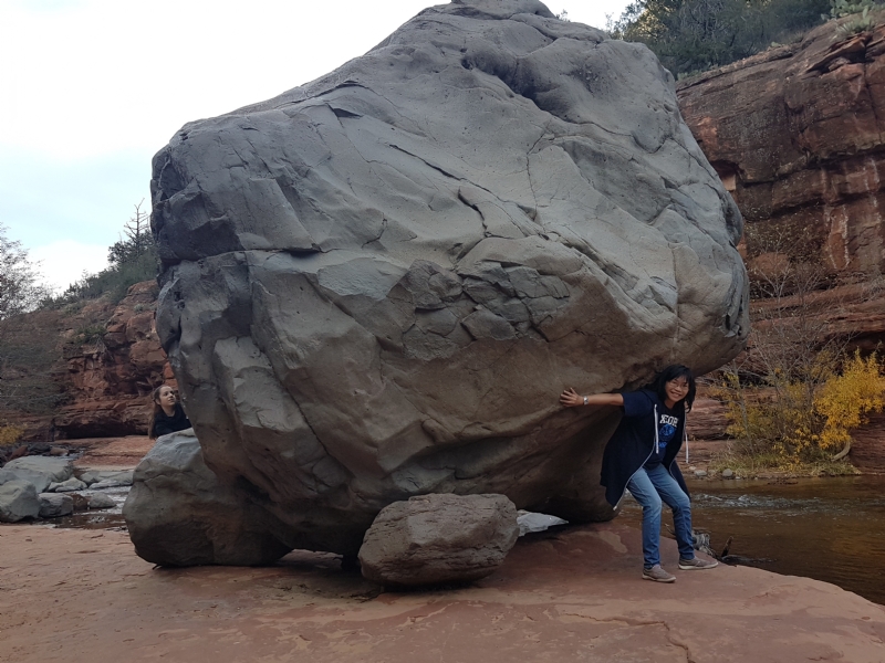 Apple的第一张照片--周口相亲服务中心