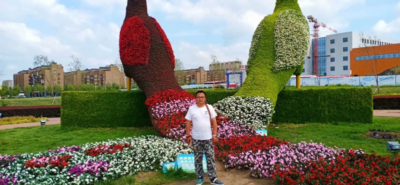 尘埃的第一张照片--周口相亲服务中心