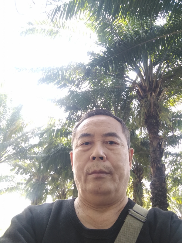 重振雄风的第二张照片--周口相亲服务中心