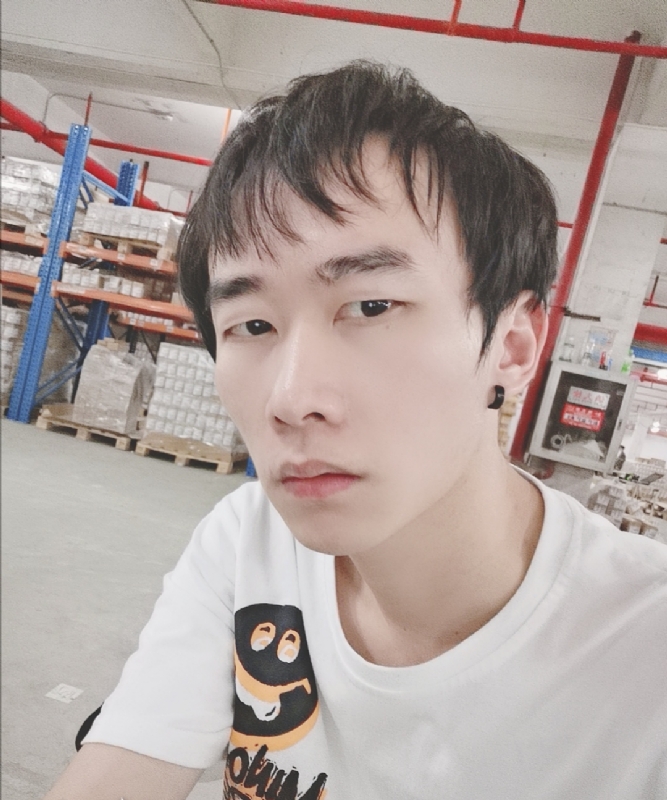 巷子里的猫的第一张照片--周口相亲服务中心