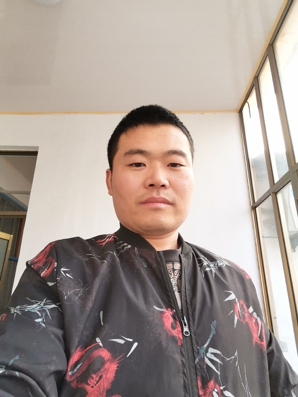 会飞的猪的第一张照片--周口相亲服务中心