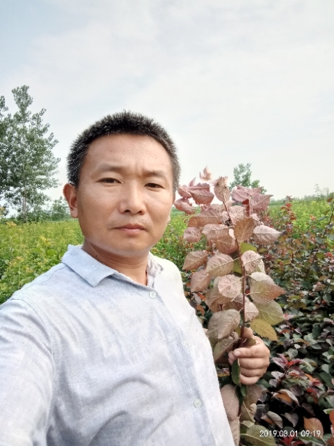 孩子爸的第一张照片--周口相亲服务中心