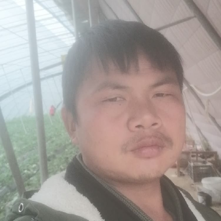 孤狼‘的第一张照片--周口相亲服务中心