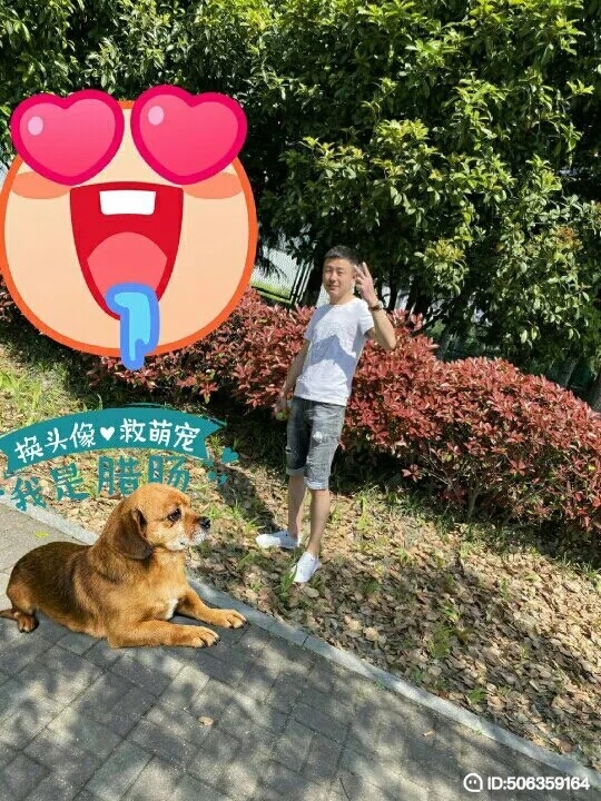 我若不坚强谁替我勇敢的第五张照片--周口相亲服务中心