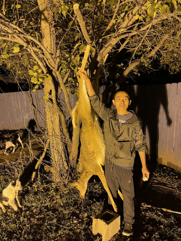 Kandy的第三张照片--周口相亲服务中心