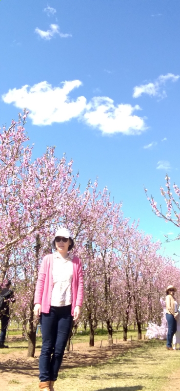 Grace的第二张照片--周口相亲服务中心