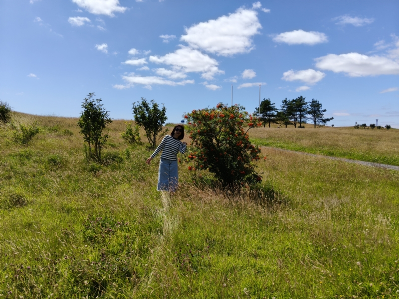 秋蝉的第一张照片--周口相亲服务中心