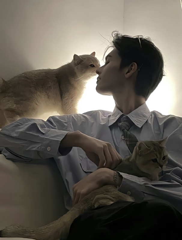 怪猫的第一张照片--周口相亲服务中心