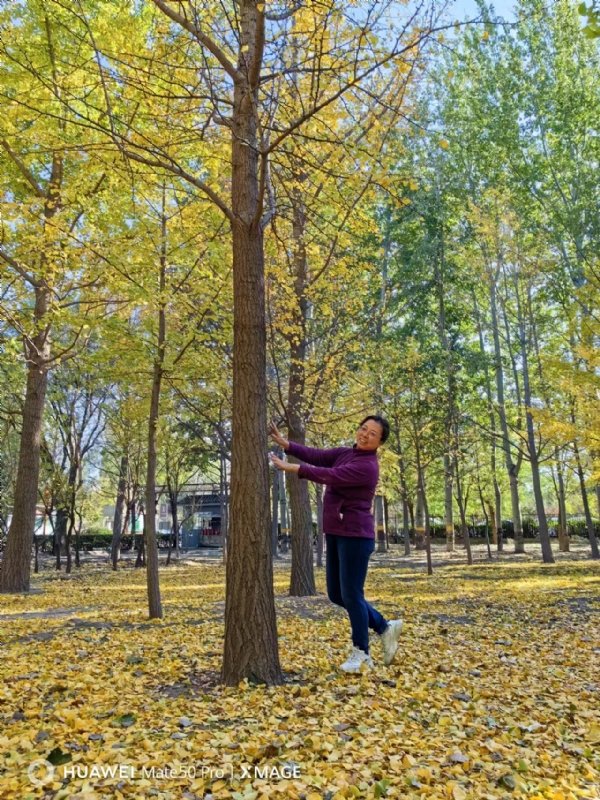 Shirley的第四张照片--周口相亲服务中心