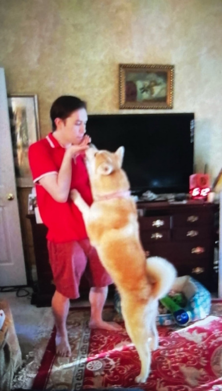 Leluch的第一张照片--周口相亲服务中心