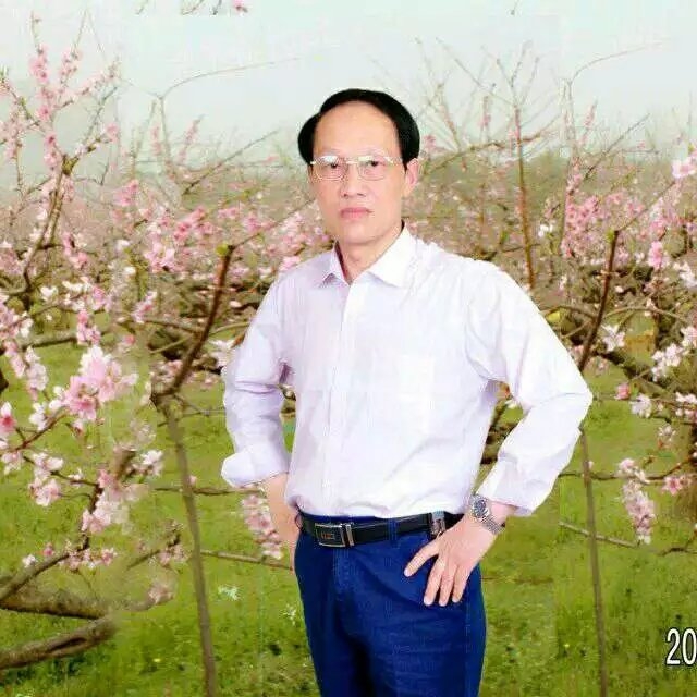 枫叶的第一张照片--周口相亲服务中心