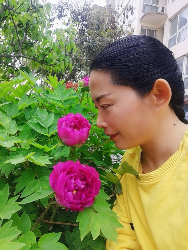 厚德载物的第一张照片--周口相亲服务中心