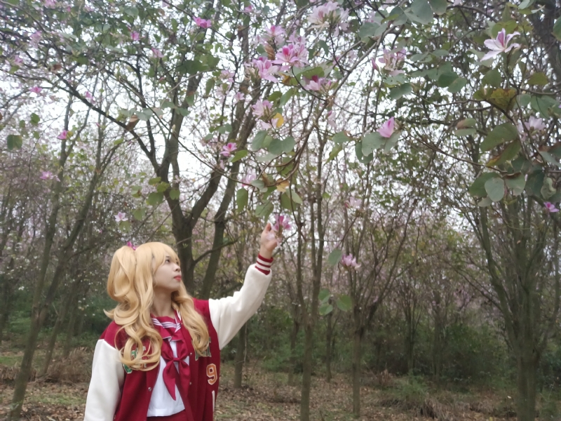 暮秋的第二张照片--周口相亲服务中心