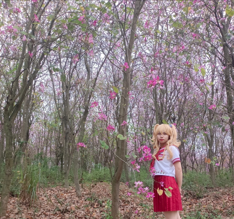 暮秋的第四张照片--周口相亲服务中心