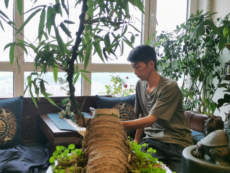 成个家的第一张照片--周口相亲服务中心