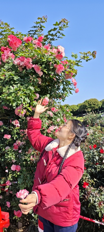 狗狗的第一张照片--周口相亲服务中心