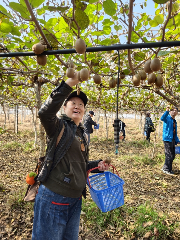 夜莺的第四张照片--周口相亲服务中心